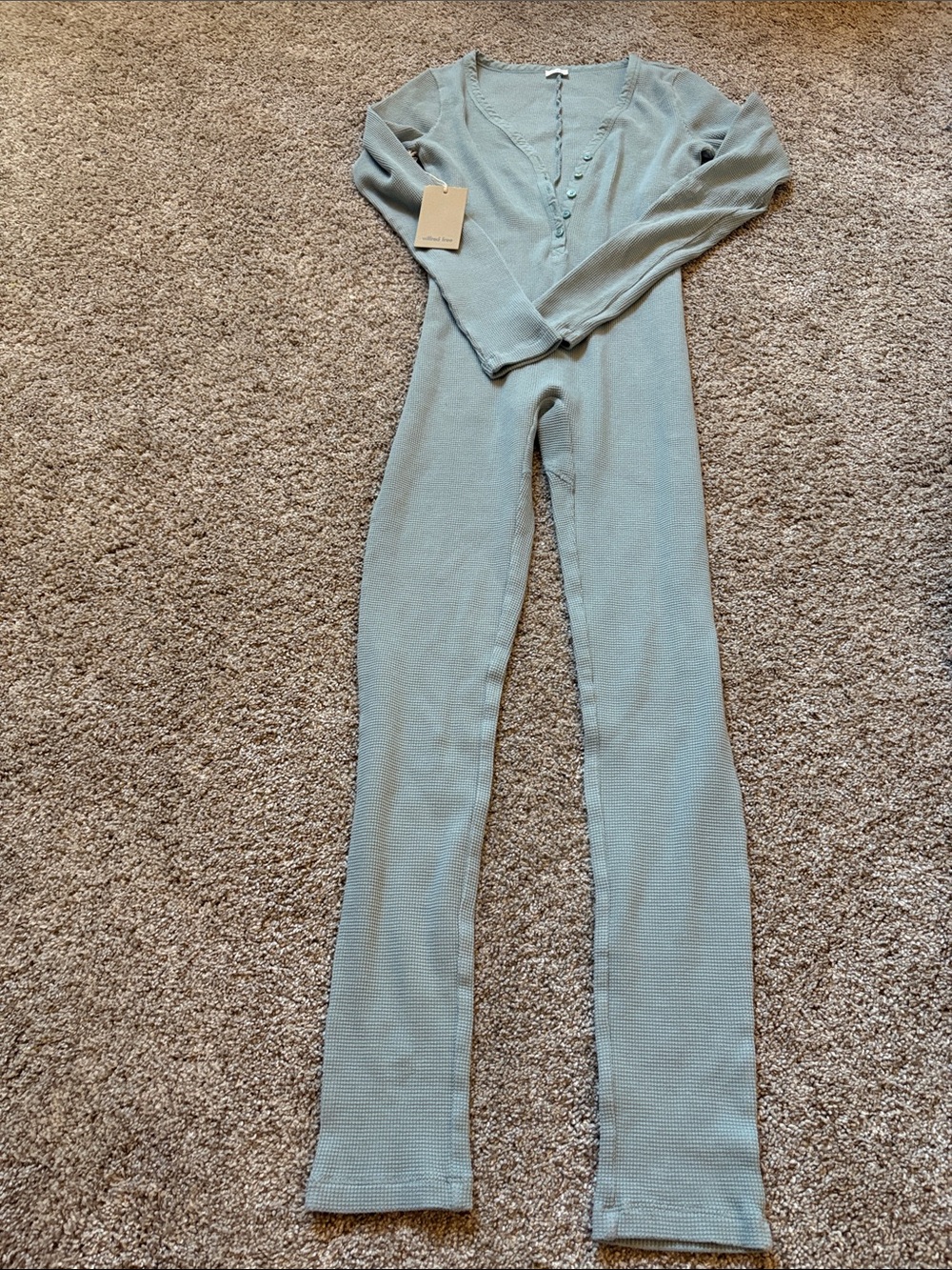 Aritzia Ribbed Button-Front Jumpsuit in Sage